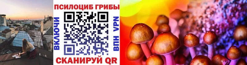 хочу   Опочка  площадка Telegram  Галлюциногенные грибы прущие грибы 